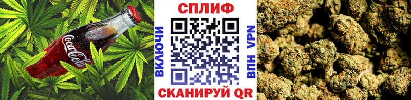 Canna-Cookies марихуана  Горно-Алтайск 