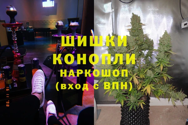 стафф Бородино