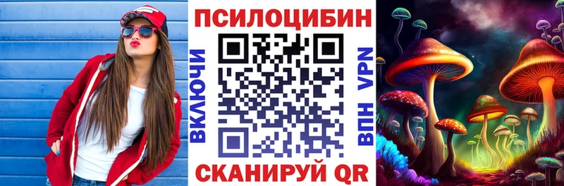 как найти наркотики мега как зайти Псилоцибиновые грибы MAGIC MUSHROOMS Горно-Алтайск